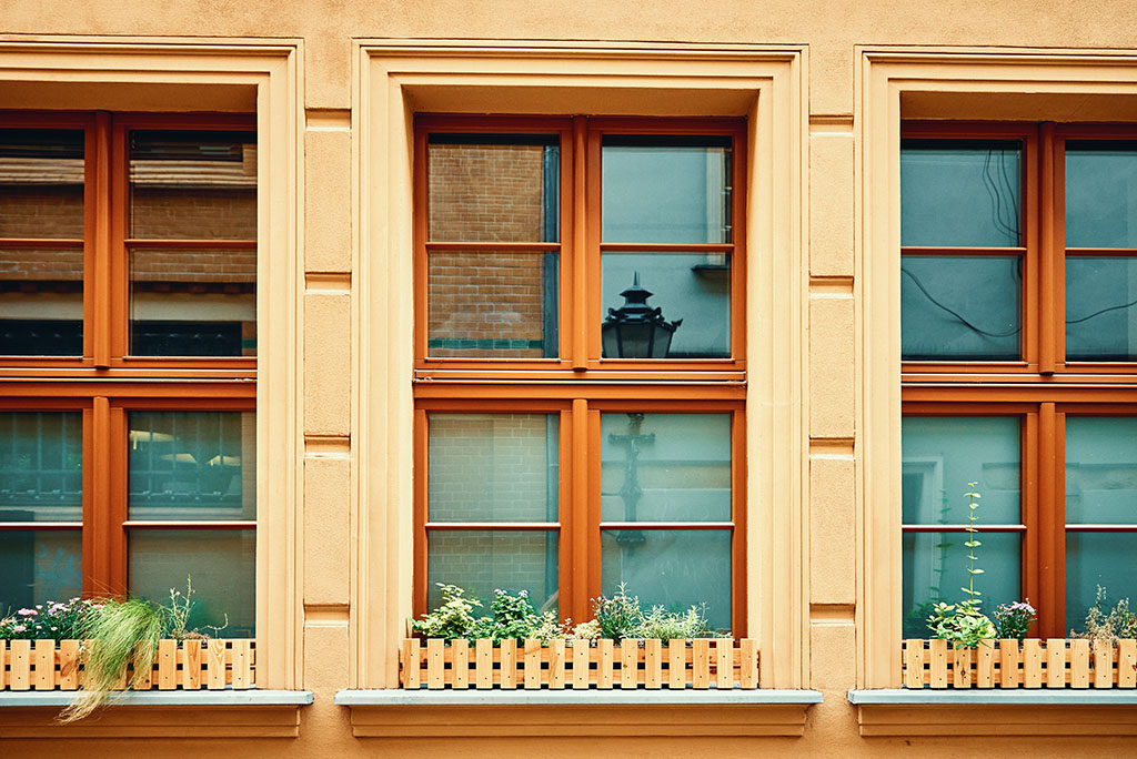 Old building facade with windows. Flowers on the windowsill at city street