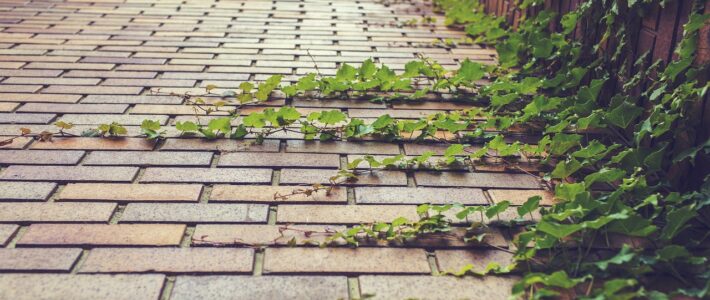 7 Reasons You Should Invest in Brick Cleaning